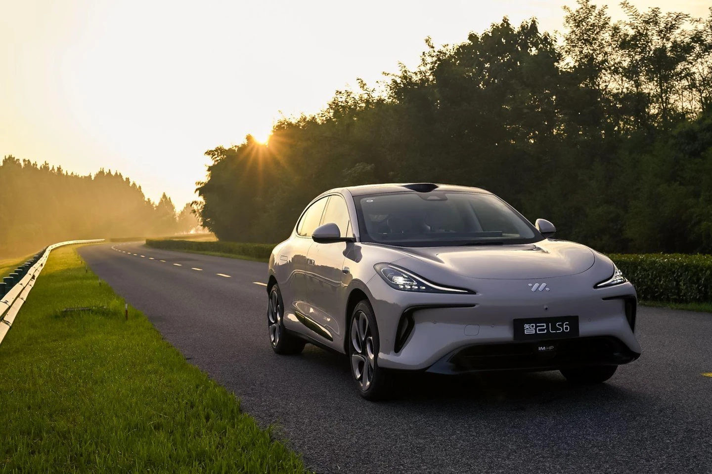 IM Motors LS6