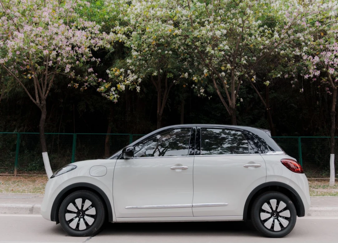 Wuling Bingo